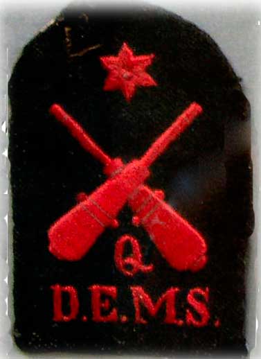 DEMS badge